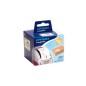 DYMO LabelWriter Shipping Forsendelses-/navneskiltmærkater 54 x 101 mm 220etikette(r) S0722430